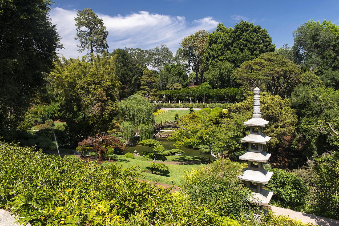 Japanese Gardens at The Huntington Library | Projects & Portfolio 